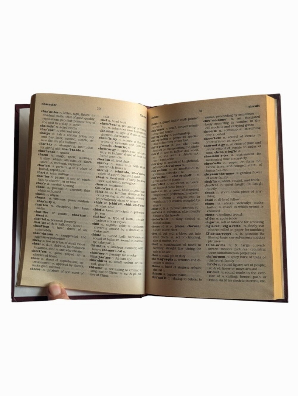 Webster's Dictionary - Picture 2 of 3